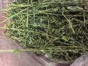 喜帅烘干紫花苜蓿草 幼兔兔粮牧草干草龙猫荷兰猪磨牙饲料净重750g 实拍图