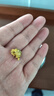 同仁堂品牌 北京同仁堂菊花茶100克 桐乡原产胎菊可搭枸杞玫瑰花化橘红 实拍图