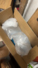 狮王艾宠宠物狗狗猫咪沐浴露除螨除臭550ml猫狗通用二合一 实拍图