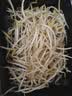 七鲜24小时富硒绿豆芽 200g 实拍图