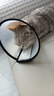 欢宠网伊丽莎白圈猫宠物狗猫咪狗狗绝育软项圈头套脖套防舔防咬脖圈耻辱 实拍图