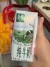 伊利【新鲜日期】金典纯牛奶整箱 200ml*24 3.6g乳蛋白 礼盒装 5月 实拍图