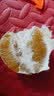 天乐优选江西赣南脐橙 新鲜水果整箱 孕妇甜橙子年货节 团购送礼 带箱9斤单果100-150g净重8.5斤 实拍图