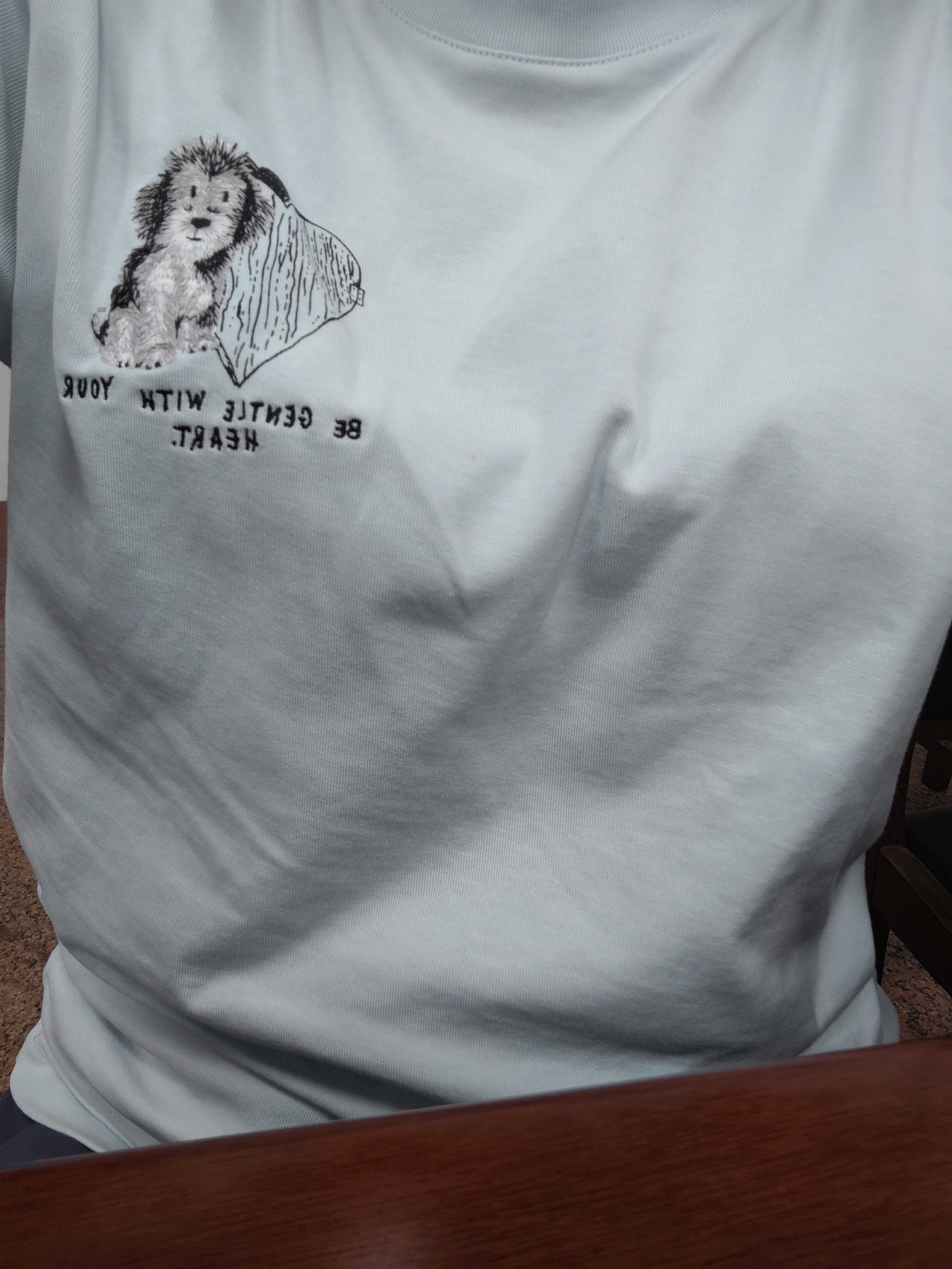 森马（Semir）[商场同款]短袖T恤女小狗刺绣夏季2025宽松衣服休闲101325100092 实拍图