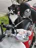奥丁（ODIN）猫粮 牛肉味幼猫成猫全阶段通用型低盐 猫咪食品 全价猫粮10kg 实拍图