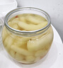胜屿淄博枸杞泡姜芽新鲜嫩姜芽泡菜开胃菜仔姜糖醋生姜姜片500g*1罐 实拍图