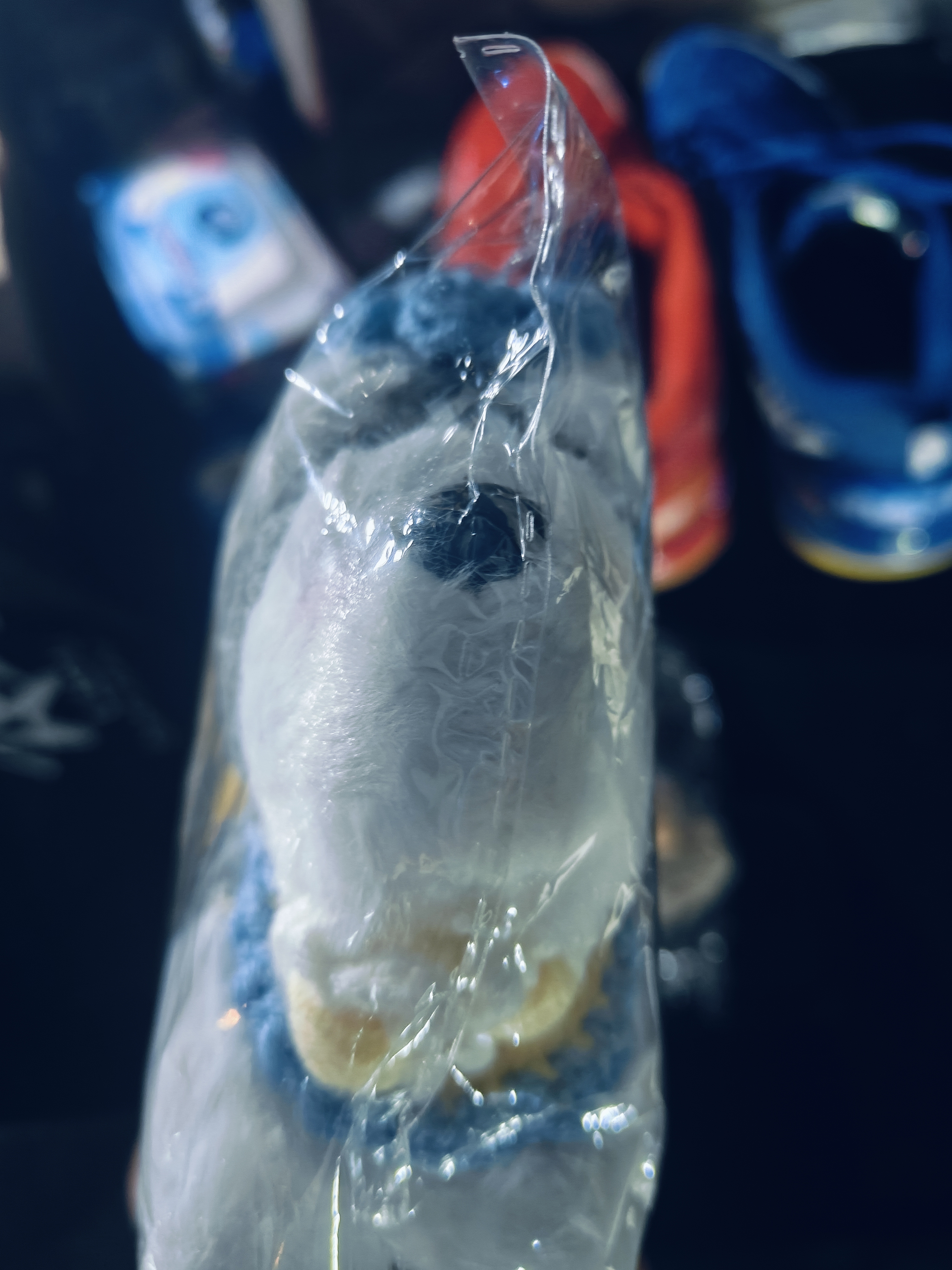 叩素可爱毛绒小狗钥匙扣挂件雪纳瑞玩偶装饰包包挂饰公仔教师节礼物 实拍图