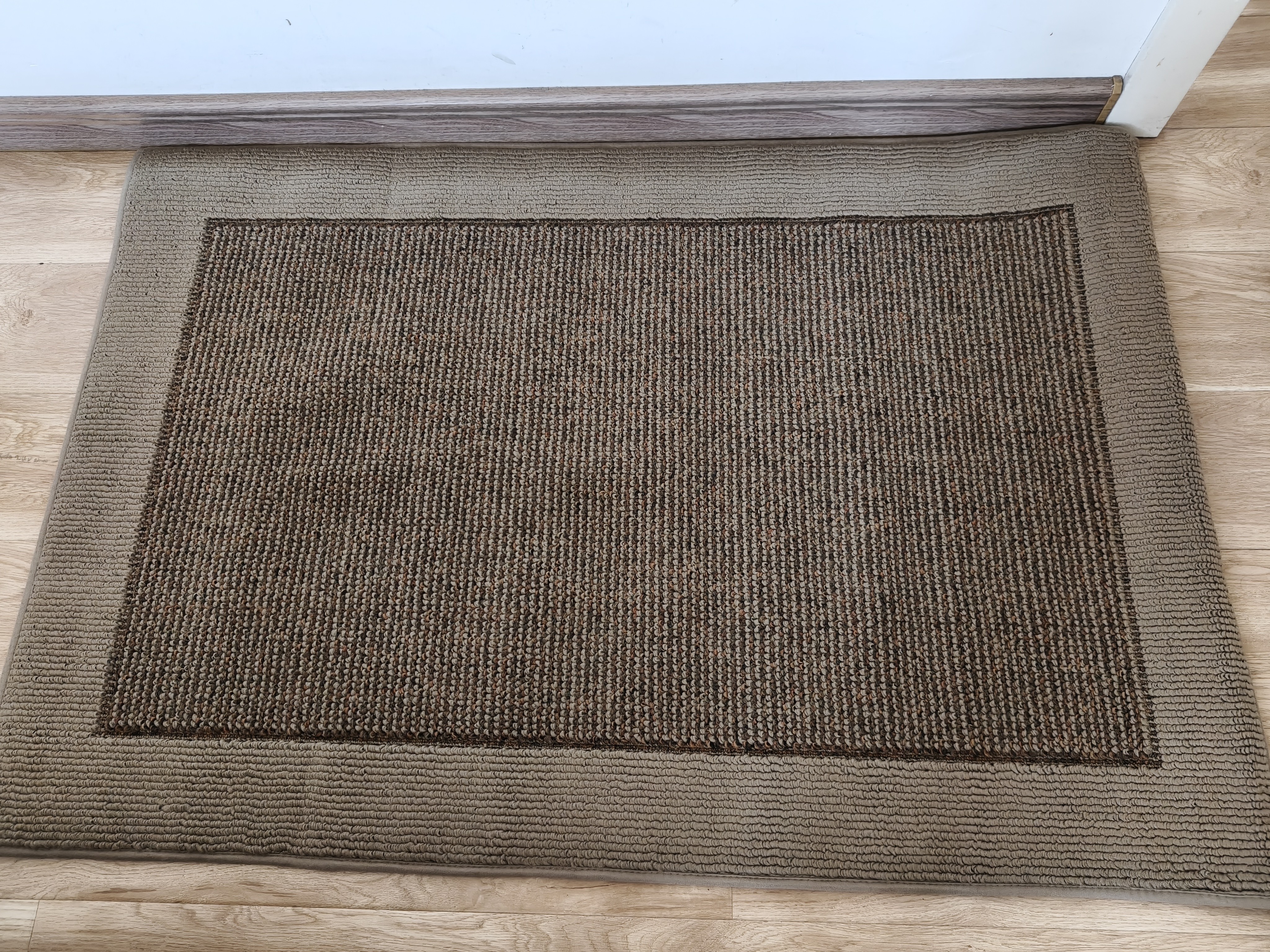 大江入户地垫入户门脚垫门口进门高级感轻奢玄关地毯高端80x120cm 实拍图