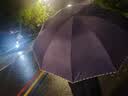 天堂伞 加大雨伞三折 经典格纹商务伞10骨大雨伞男女 紫兰 实拍图