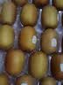 佳沛（zespri）新西兰阳光金奇异果巨大果22粒原箱单果146-175g 猕猴桃水果礼盒 实拍图