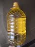 多力【保真菜籽油】芥花油5L 非转基因食用油粮油植物油 实拍图