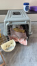 腆宠宠物航空箱小号 猫咪航空箱猫狗 猫包猫笼外出车载猫箱狗狗托运 实拍图