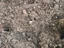 【通用土】营养土养花种菜土壤有机兰花多肉植物盆栽种植椰砖土 5kg 1袋 实拍图