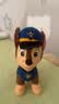 汪汪队立大功（PAW PATROL）毛绒玩具狗狗陪睡玩偶经典款阿奇站姿公仔男女孩儿童生日礼物 实拍图