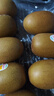 佳沛（zespri）新西兰 阳光金奇异果12粒特大果单果124-146g 猕猴桃水果礼盒 实拍图