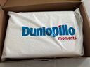 邓禄普（Dunlopillo）ECO经典舒适枕 斯里兰卡进口天然乳胶枕头 颈椎枕  实拍图