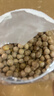 老街口香酥鹰嘴豆500g罐装酥脆即食高蛋白坚果炒货干果休闲健身小零食 实拍图