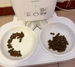 霍曼（Homerun）宠物智能自动喂食器猫粮定时猫咪自动投食机不锈钢双碗增高版PF20 实拍图