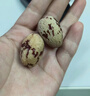 十月稻田 去皮去核灰枣 200g 新疆 软糯香甜 红枣 独立包装 辅食 实拍图