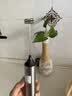 CLITON咖啡奶泡打发器打蛋器充电式电动咖啡打泡器搅拌棒搅拌器打奶泡器 实拍图