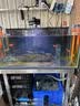 瓦克（WACKER）121大型鱼缸胶水族馆玻璃胶水族箱密封胶防霉防水速干型黑色 实拍图