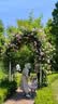 清风有芯卷纸 金装4层180克*27卷 卫生纸纸巾厕纸 大克重卷筒纸整箱 实拍图