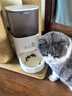 霍曼（Homerun）霍曼Real智能自动喂食器猫粮定时猫咪自动投食器PF20（配陶瓷碗） 实拍图