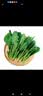 【水果菜】童年味道西红柿约1kg 实拍图