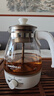 金灶（KAMJOVE） 养生壶煮茶器喷淋式煮茶炉白茶壶黑茶壶办公室家用蒸汽煮茶壶1L 白色 1L 实拍图