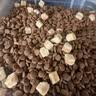 愛肯拿（ACANA）狗粮试用装 鸭肉梨清火低敏去泪痕全价通用进口狗粮85g 效期26/11 实拍图