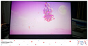任天堂（Nintendo）【国内保税仓】Switch2/1代 OLED/续航加强日版/港版便携家用ns体感游戏机掌机 新加坡版switch2赛车同捆+Pro手柄 实拍图