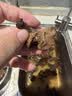 森百味东北特产礼盒南北干货蘑菇菌菇汤包野生榛蘑松蘑香菇羊肚菌鹿茸菇 野生松蘑250g*1袋 实拍图