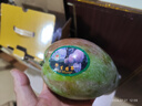京鲜生 攀枝花【即食】凯特芒 净重5斤装 单果400g以上 生鲜水果 实拍图