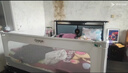 丸丫K2床围栏婴儿防摔床护栏床边防掉床挡板防护栏2.0米简灰一面 实拍图