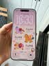Apple/苹果 iPhone 17 256GB 白色 支持移动联通电信5G 双卡双待手机 实拍图