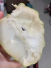 三萌果蔬凤梨牛奶释迦果【顺丰-多地次日达】释迦摩尼果番荔枝新鲜水果 【较甜·精选果】单果150-250g 3斤装【实惠尝鲜·较划算】净2.5斤 实拍图