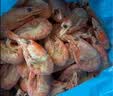 鲜生说 大号头籽北极甜虾净重3斤 40-50只/斤 95-99%头籽率 即食冰虾 实拍图
