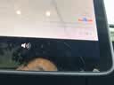 3W适用于特斯拉modelY/3屏幕钢化膜中控保护膜显示屏高清贴膜 实拍图