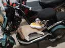 华元宠具（hoopet）猫咪伊丽莎白圈项圈宠物狗狗圈耻辱圈颈圈脖圈头套犬防舔头罩头套 实拍图