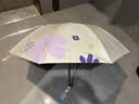 天堂伞伞太阳伞防晒防紫外线遮阳伞户外伞晴雨两用便携雨伞男女 香草-水光蓝 实拍图