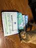 LEGENDSANDY蓝氏 低温烘焙猫粮成猫幼猫全价鲜肉粮 荒野猎兔0.05kg-赠品勿购 实拍图