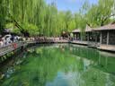京东京造【100%纯棉】袜子女夏季女士防臭10A抗菌透气中筒新疆棉袜彩色6双 实拍图