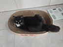 【京东快递】猫抓板猫窝一体防虫耐抓不掉屑加厚大号瓦楞纸 浅黄色 椭圆65*45*9cm 实拍图