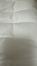 博洋家纺枕头芯可水洗防螨单人软枕芯低枕单个装木棉花48*74cm 实拍图