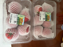 【水果菜】童年味道西红柿约1kg 实拍图
