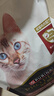 冠能猫粮成猫猫粮鸡肉味2.5kg+全价猫粮成猫三文鱼味2.5kg 混合口味 实拍图