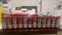 百威【哈宝同款】世界杯珍藏版啤酒【40周年限定】500ML*12礼盒装 实拍图