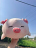名创优品（MINISO）小猪B-BO弹力超柔趴姿公仔毛绒玩偶儿童玩具抱枕靠枕生日礼物女 实拍图