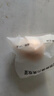 Mistine蜜丝婷蓝盾粉底液遮瑕持久控油保湿提亮混干油皮七夕礼物送女友 实拍图