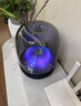 哈曼卡顿（Harman/Kardon）琉璃5代【只换不修】支持官方验真  琉璃4代升级版 桌面音箱 家庭影院氛围音响 哈曼琉璃5 实拍图